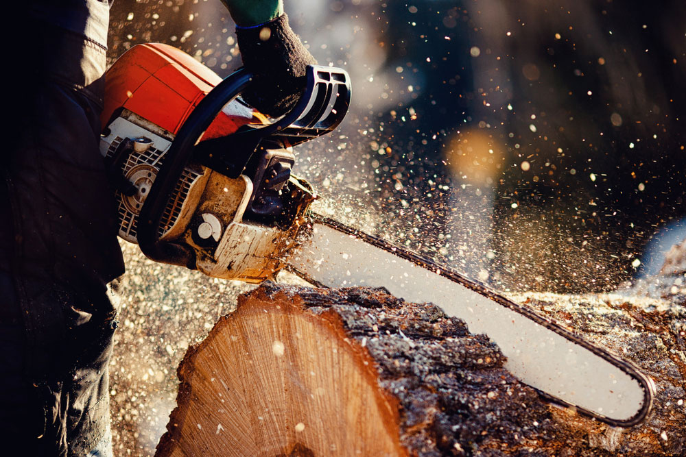 Tree Service Provider