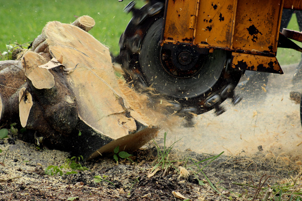 Stump Removal Specialist